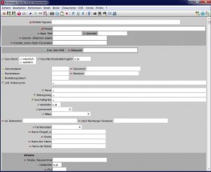 Die Erfassungsmaske Stammdaten der QWIEN Opferdatenbank