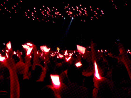 Menschenmenge mit roten Lichtern bei einem Konzert, das Queerness und Einheit feiert.